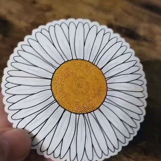 Hand drawn daisy vinyl sticker