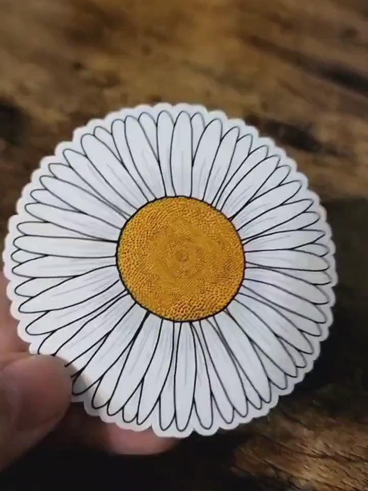 Hand drawn daisy vinyl sticker